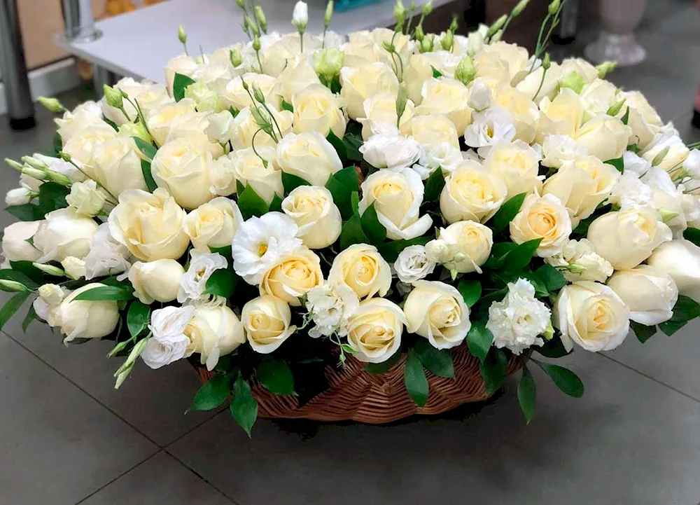 White Roses