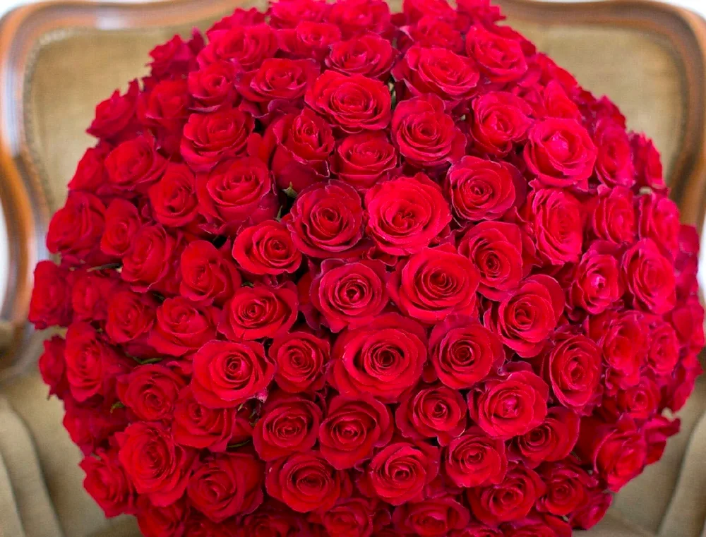 Gorgeous bouquet of roses