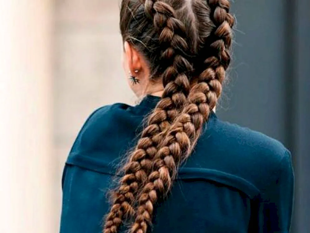 2 French dragon braids