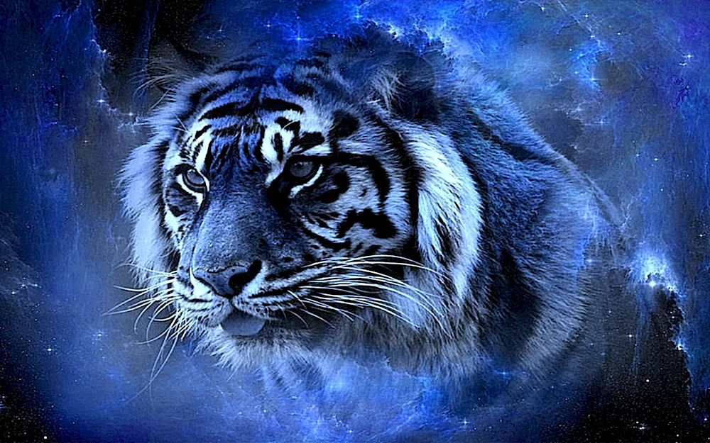 2022 Blue Water Tiger