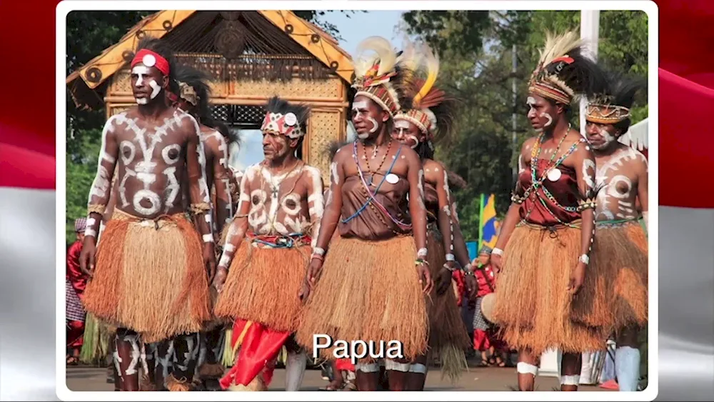 27-029 Papua Aboriginal Bag