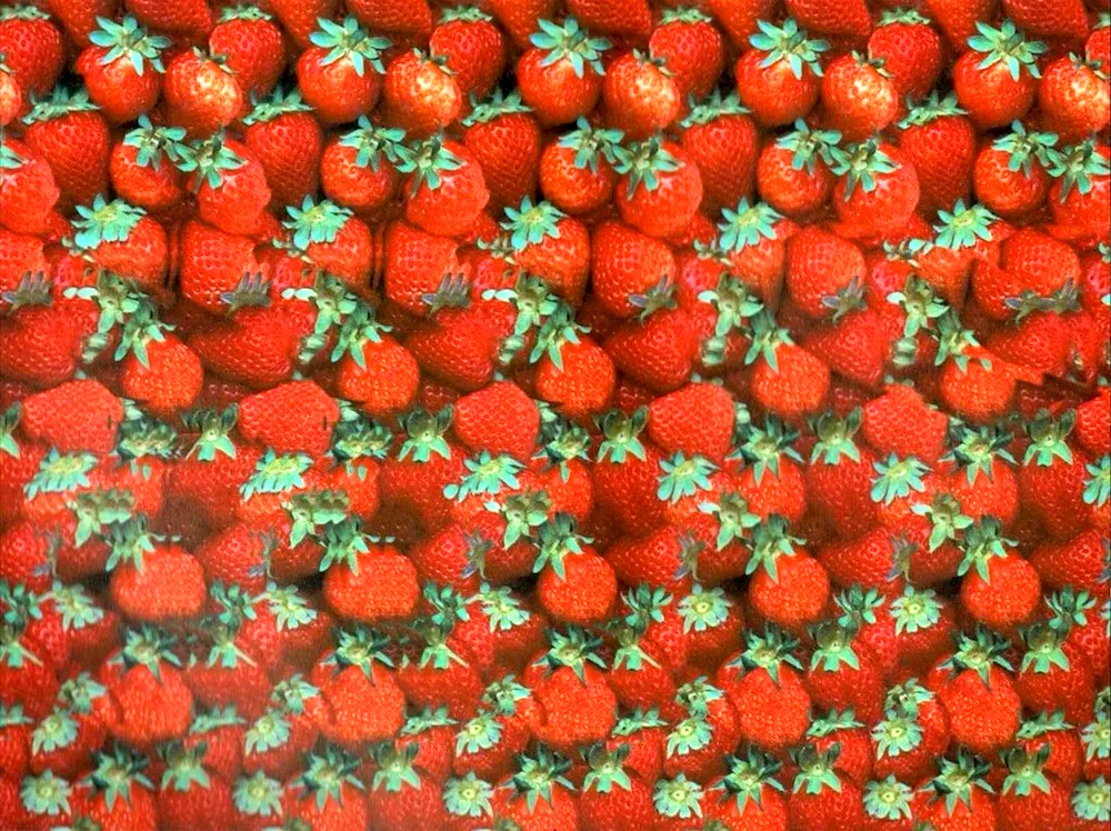Stereograms Hidden 3