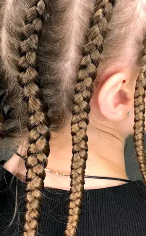 4 Dragon braids
