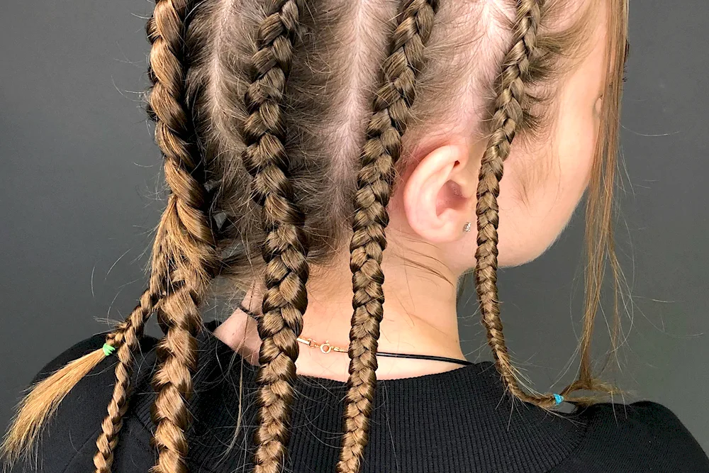 Afro plaits dragon braid braids