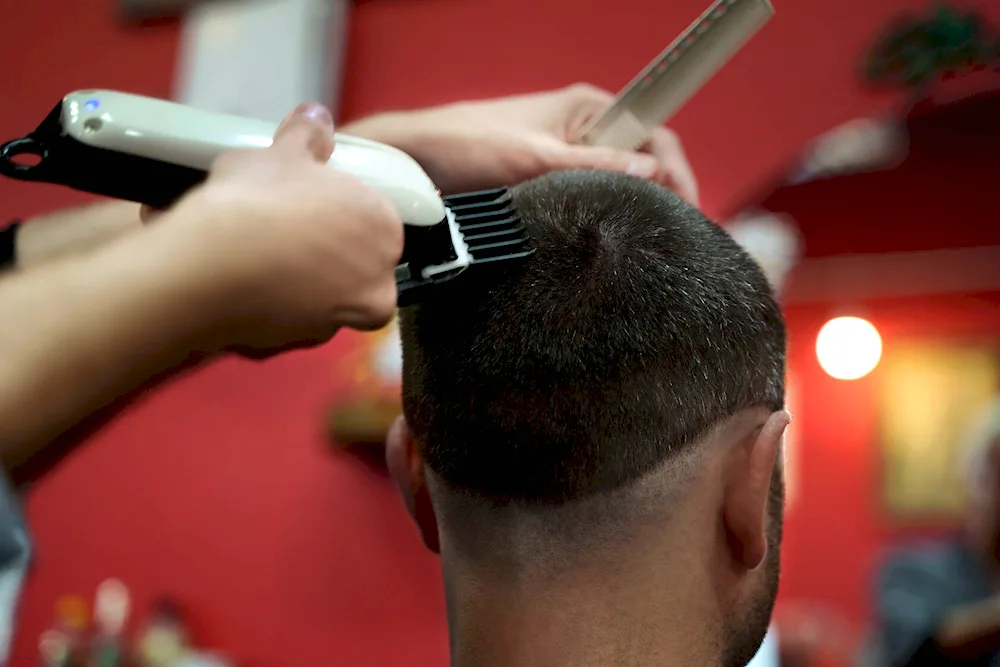 43.01. 02 Barber