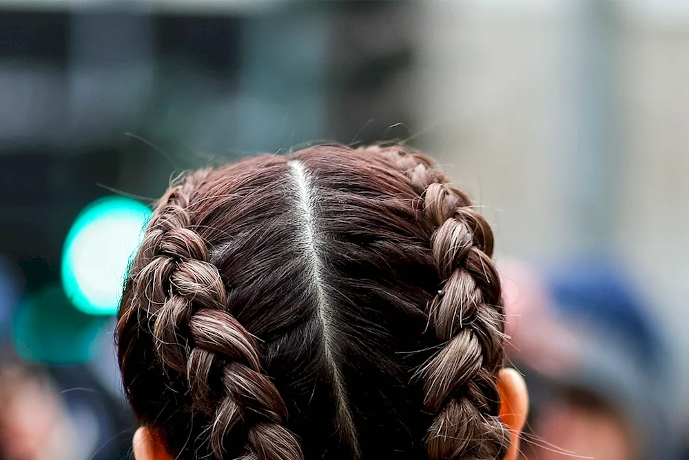 5 boxer braids