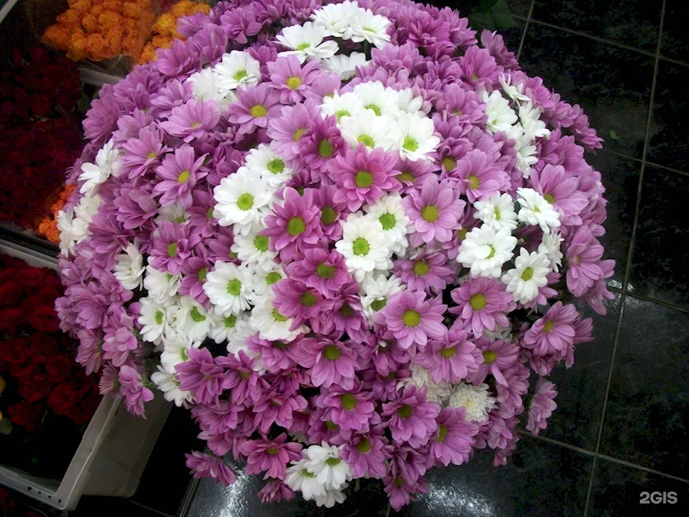 Chrysanthemum bush 9 pieces in a bouquet