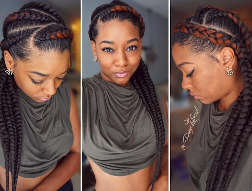 Sphinx French braids Afro braids