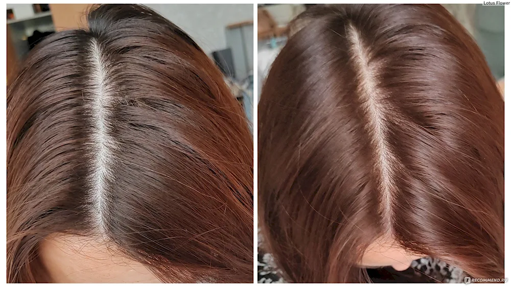 Loreal 515 Frosty Chocolate