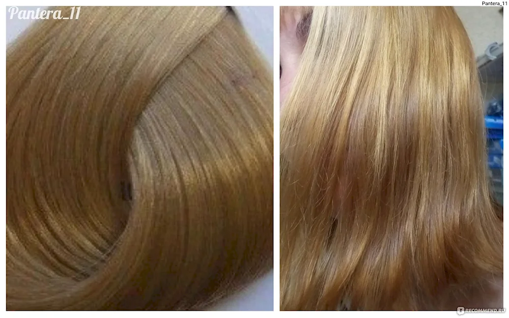 Ollin 10.21 toning