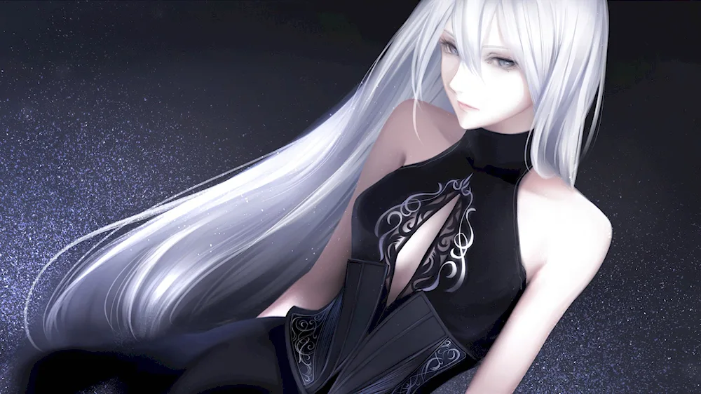 A2 nier