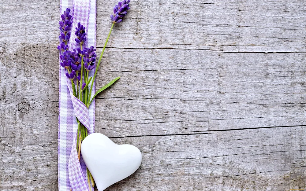 A72 Lavender