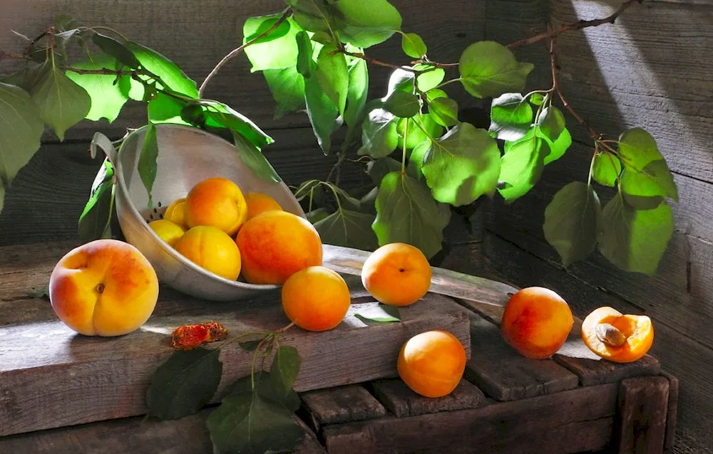 Fruit on the table