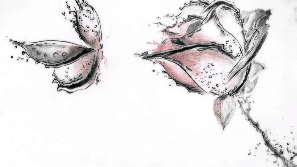 Flowers in pencil