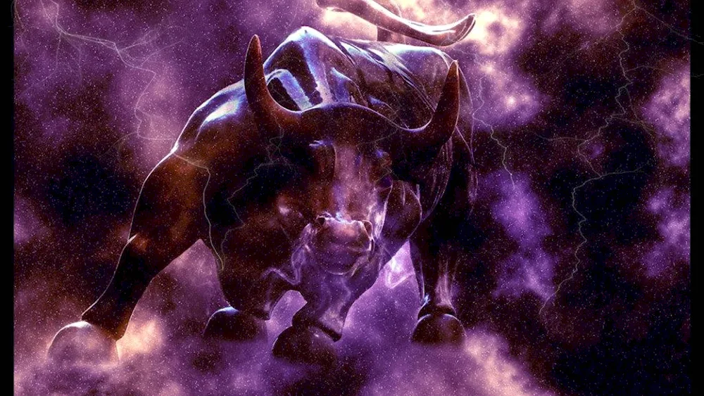 Taurus bull Taurus bull