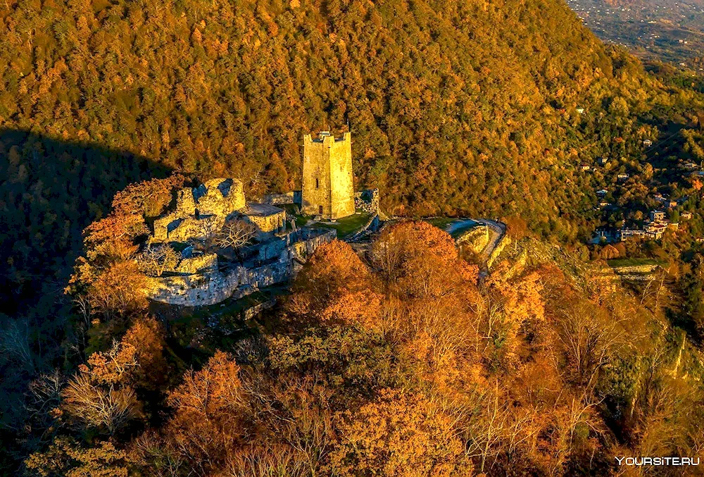 Abkhazia Shitskuara