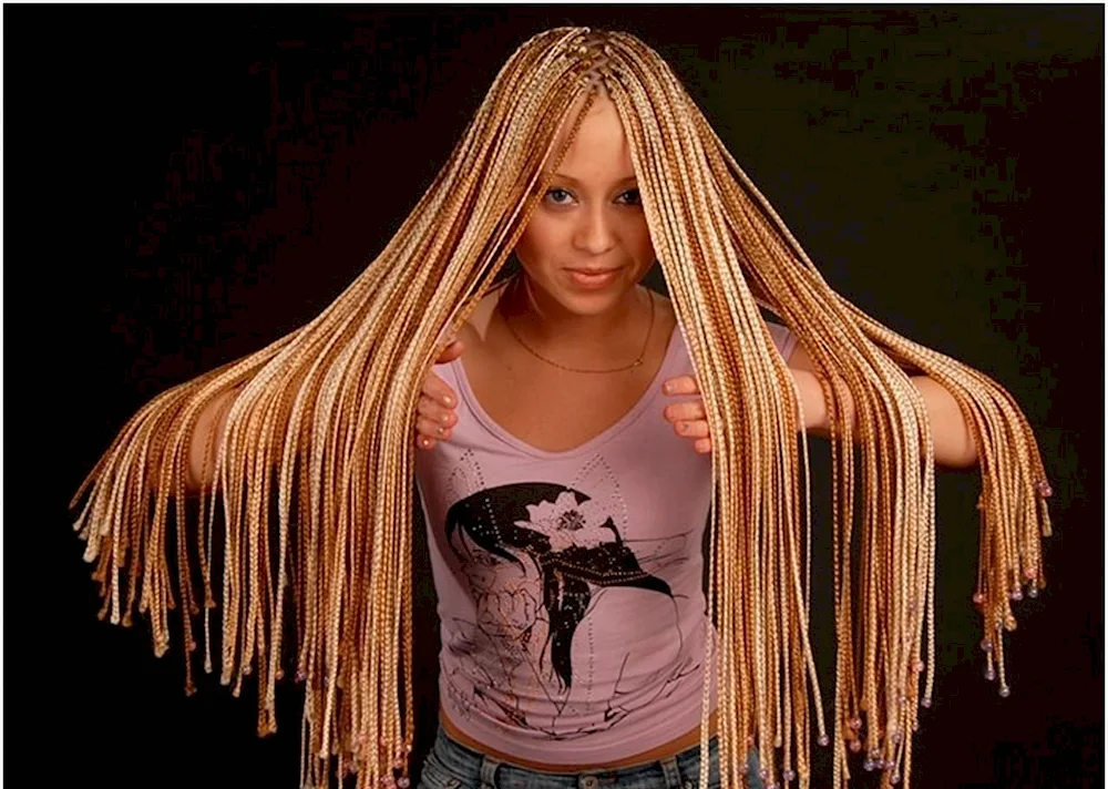 African. Zizi braids
