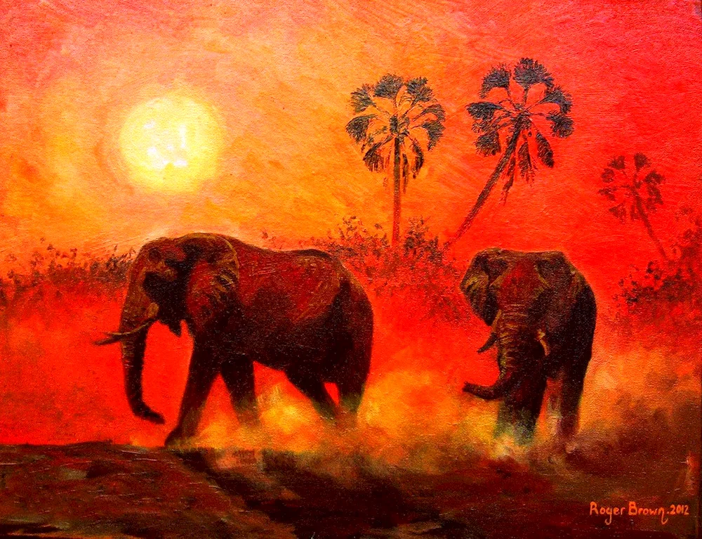 Savannah African