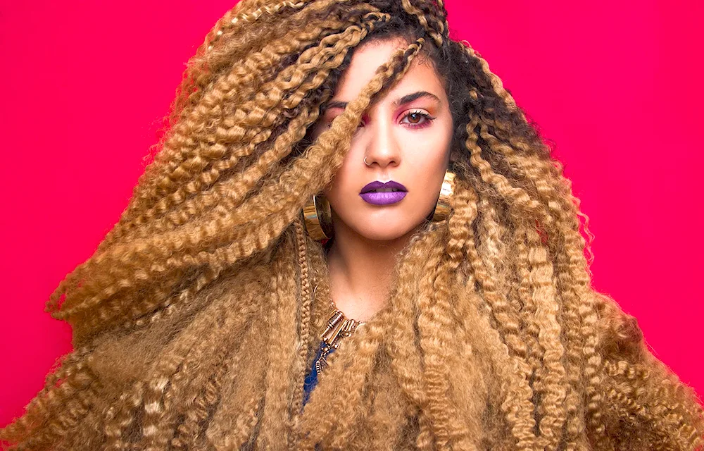 Canekalon braids