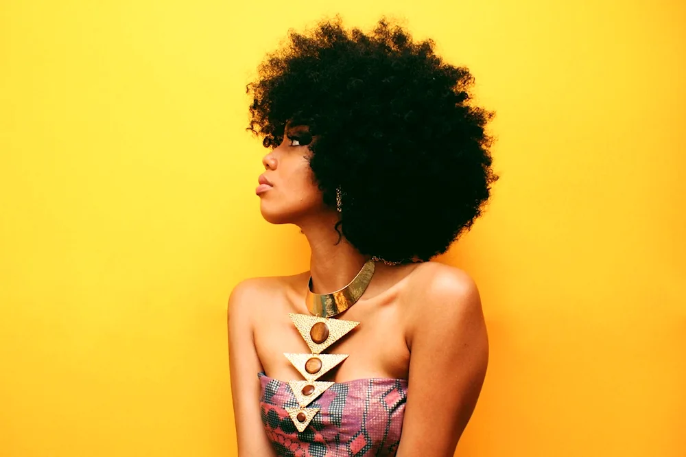 Afro hairstyle