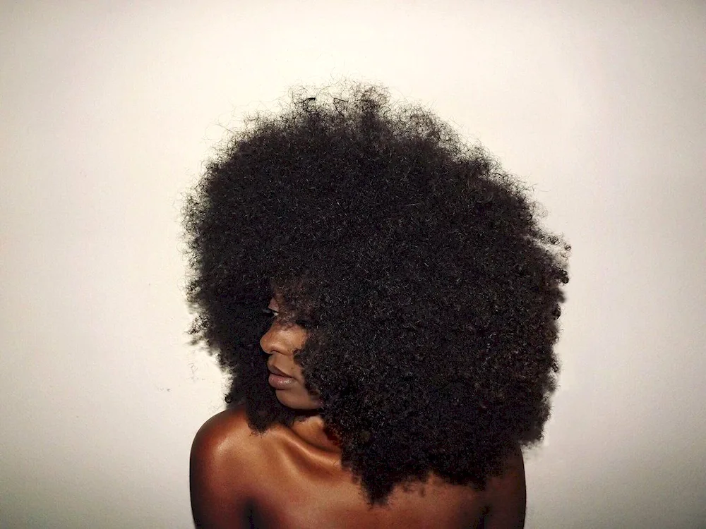 Afro hairstyle
