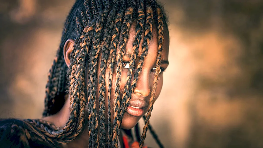 Afro braids 2023