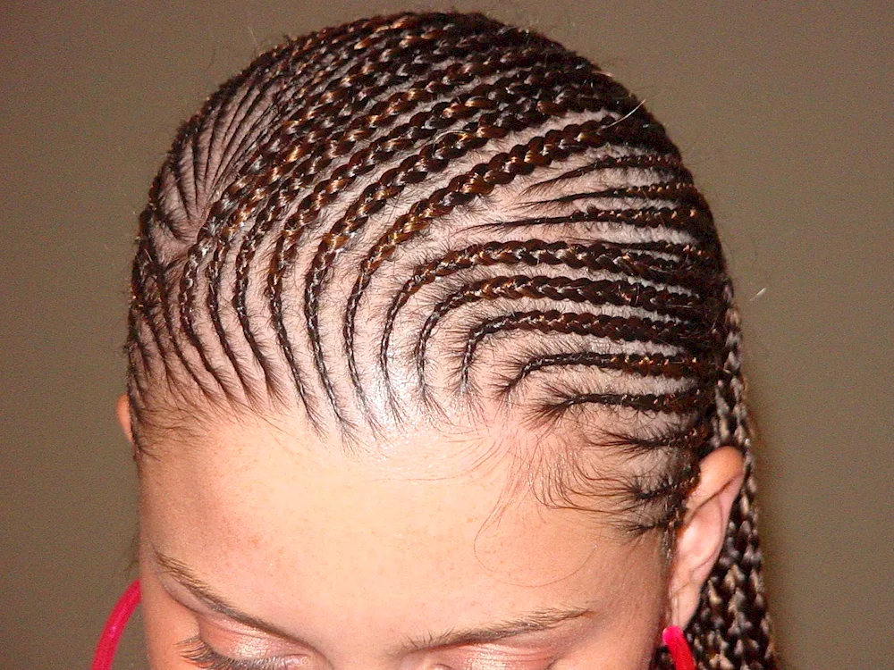 Afro braids 4 braids