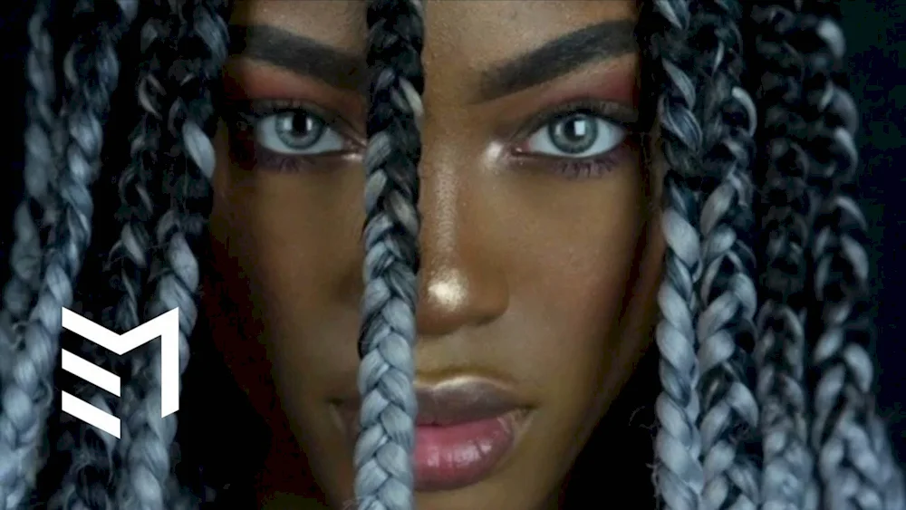 Afro Braids Box Braids