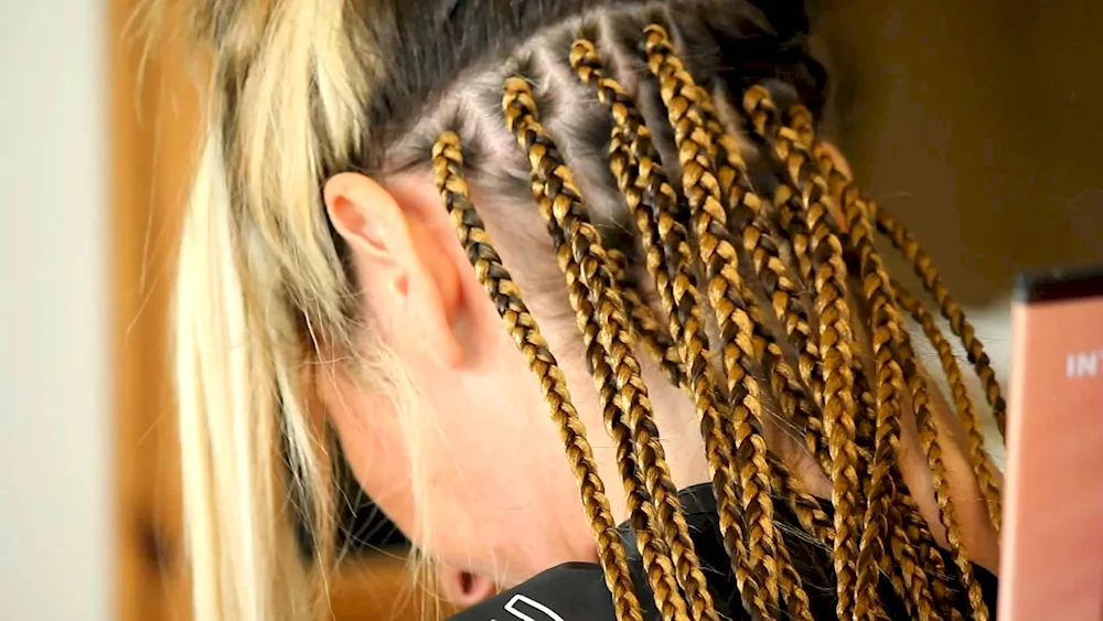 Waterfall 2 braids with Kanekalon