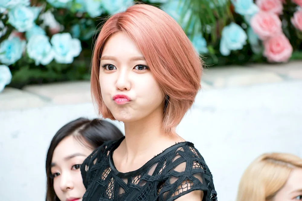 Korean idols