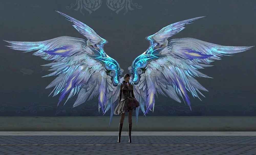 Beautiful wings