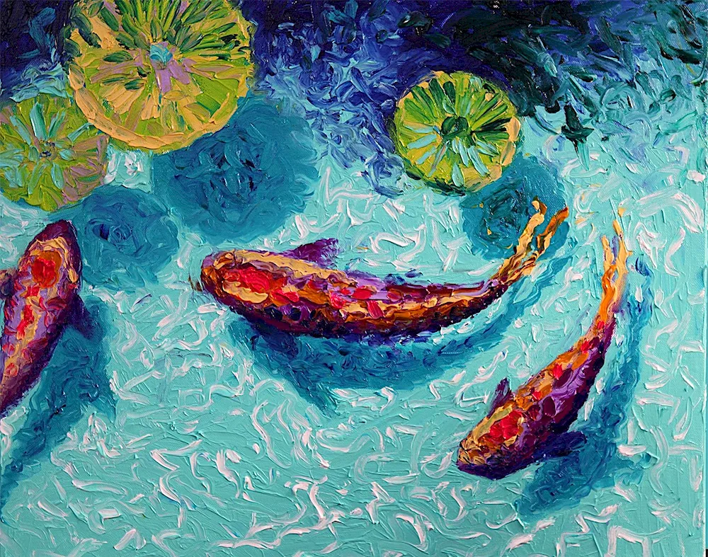 Shisui koi carp