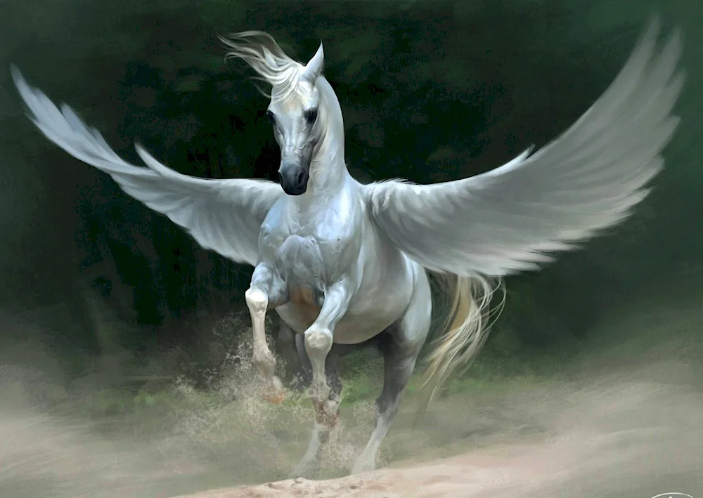 Akbuzat winged horse