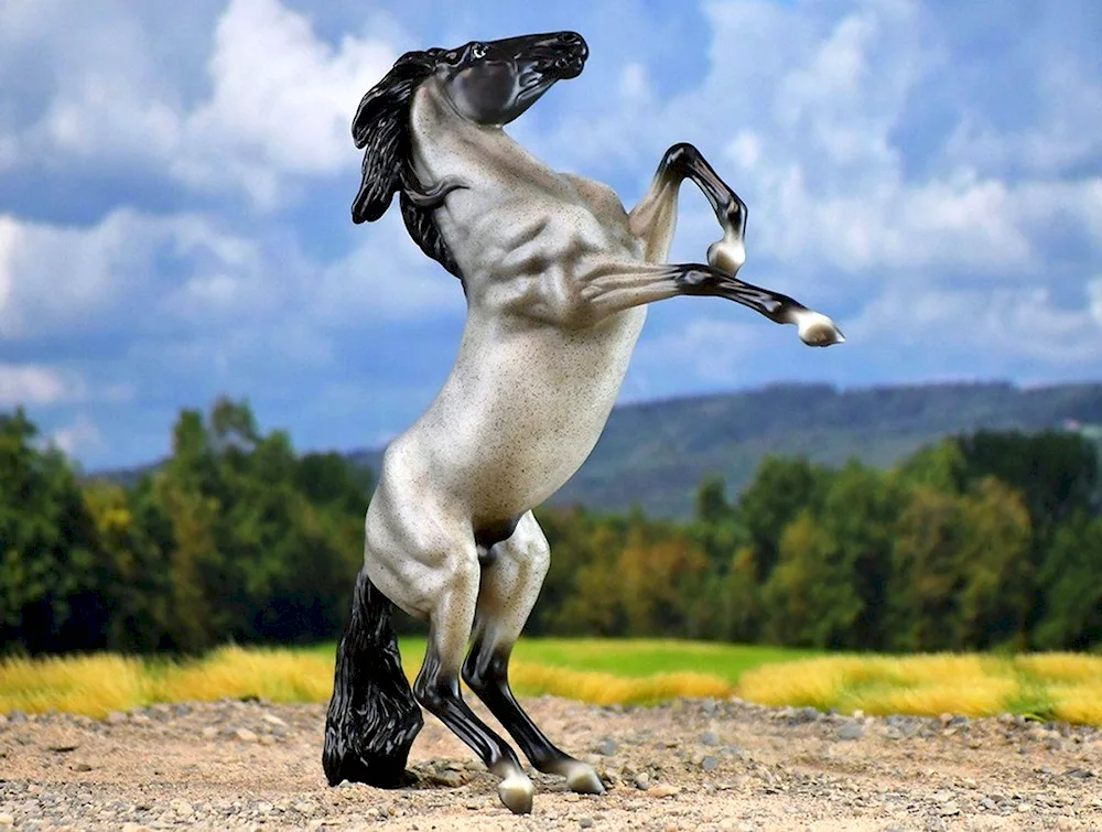 Arabian racehorse Mustang