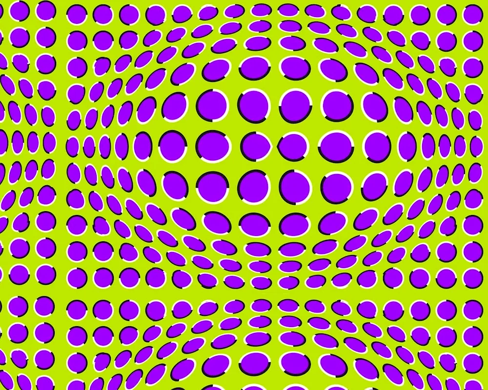 Akioshi Kitaoka illusion