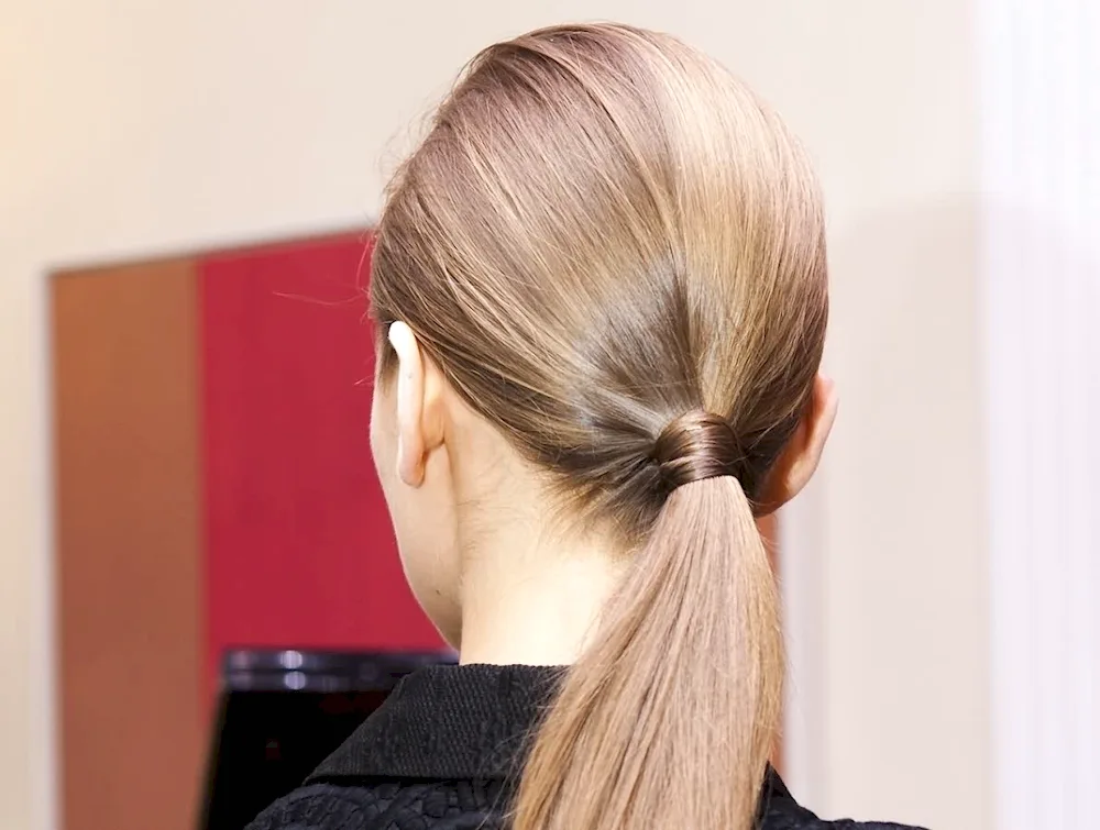 Ponytail hairstyle