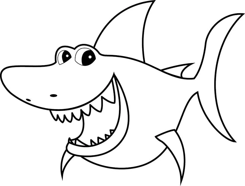 Shark colouring