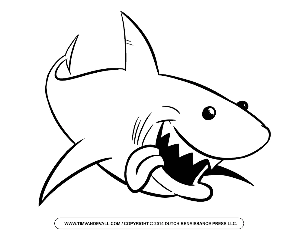 Shark colouring