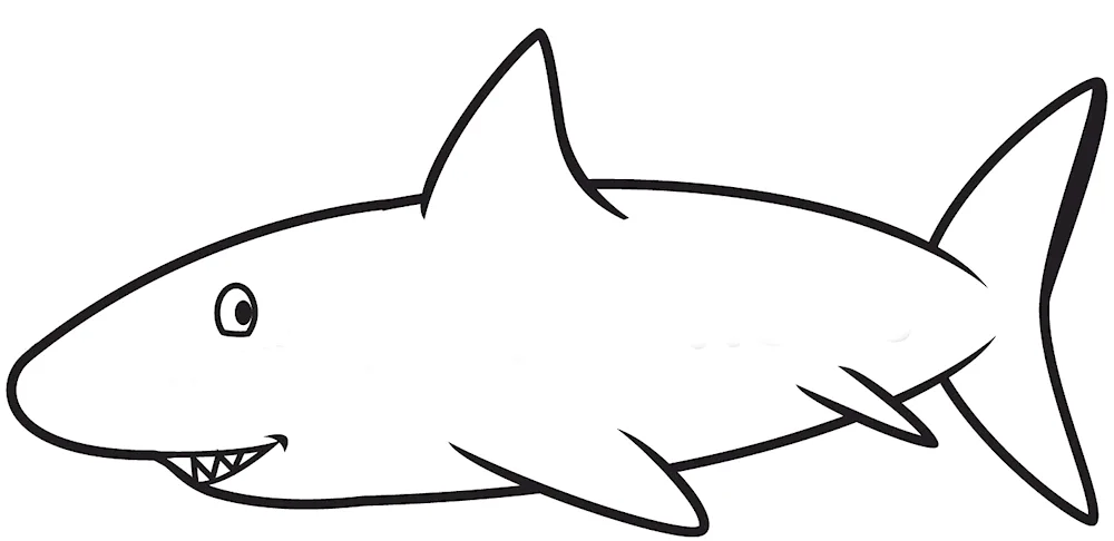 Shark colouring