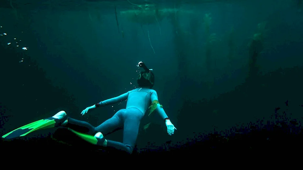 A scuba diver underwater