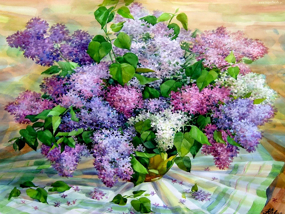 Aquarelle Lilacs Andriyaka