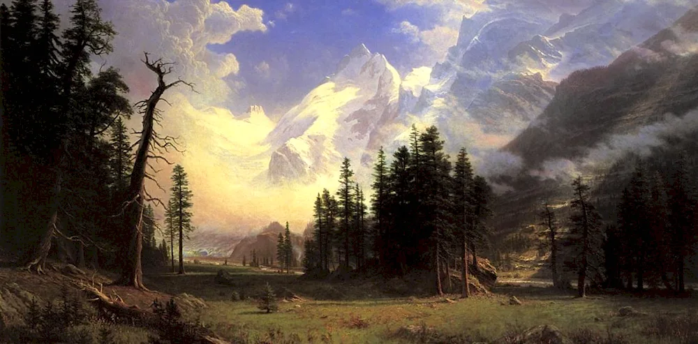 Peter Merck