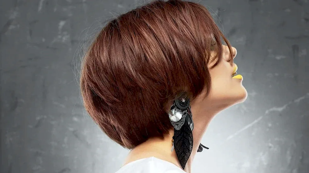 Alexander Todchuk haircuts 2022