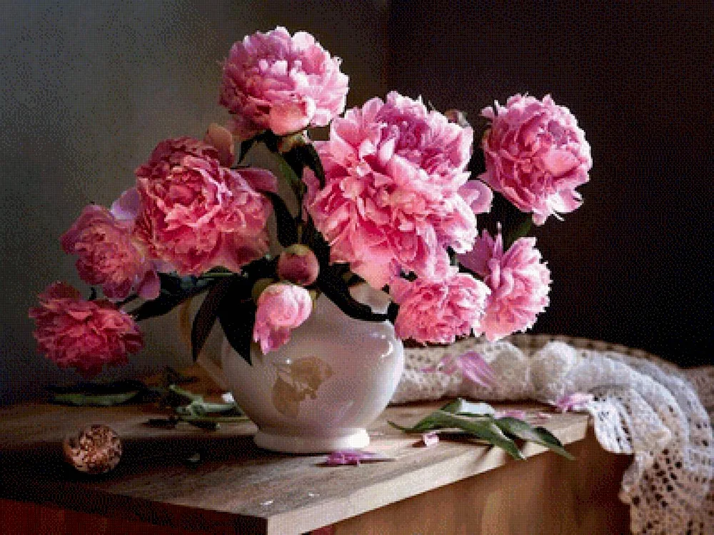 Louise Geltz Photography still lifes