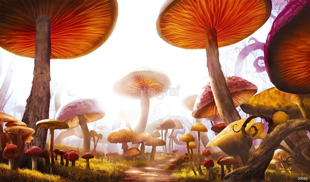 Strawberry mushrooms