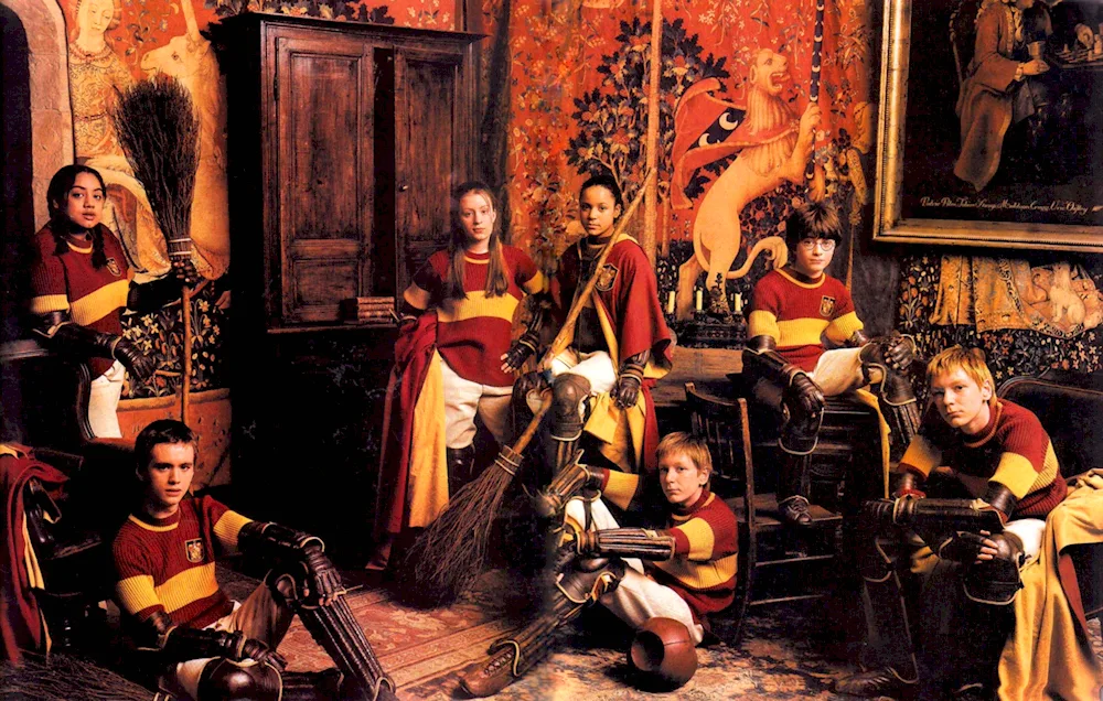 Alicia Spinnet Gryffindor Quidditch team