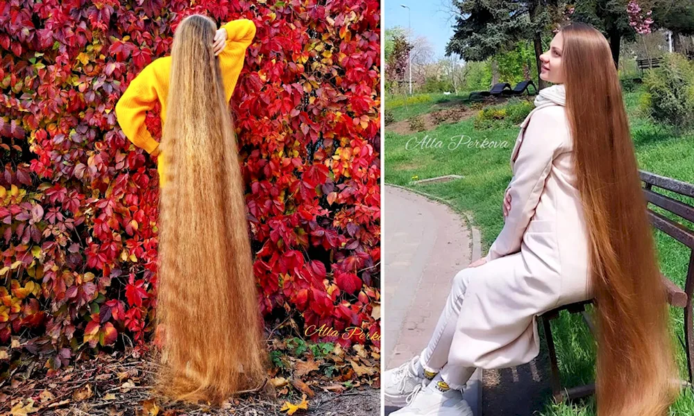 Alla Perkova Rapunzel