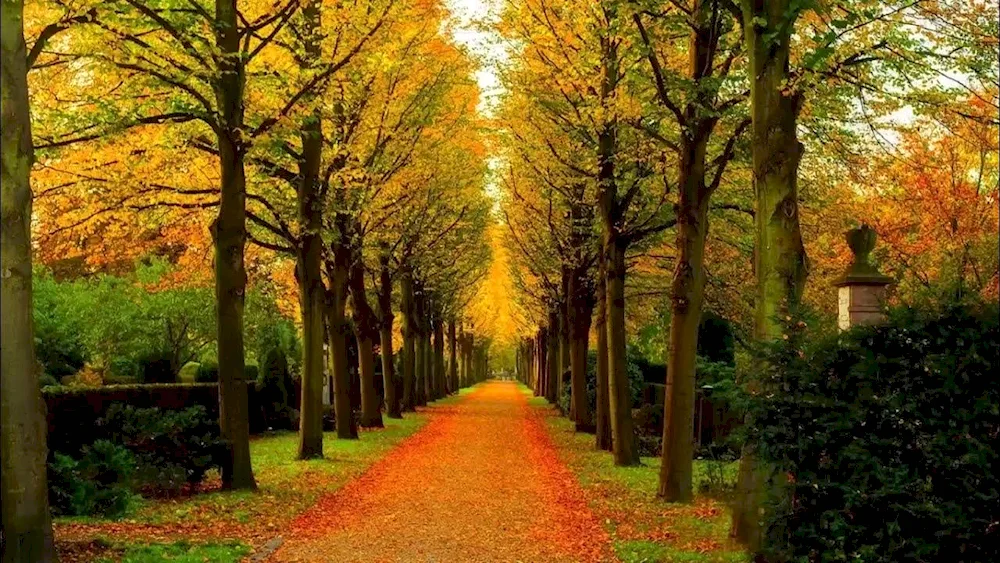 Avenue of the park in Rome