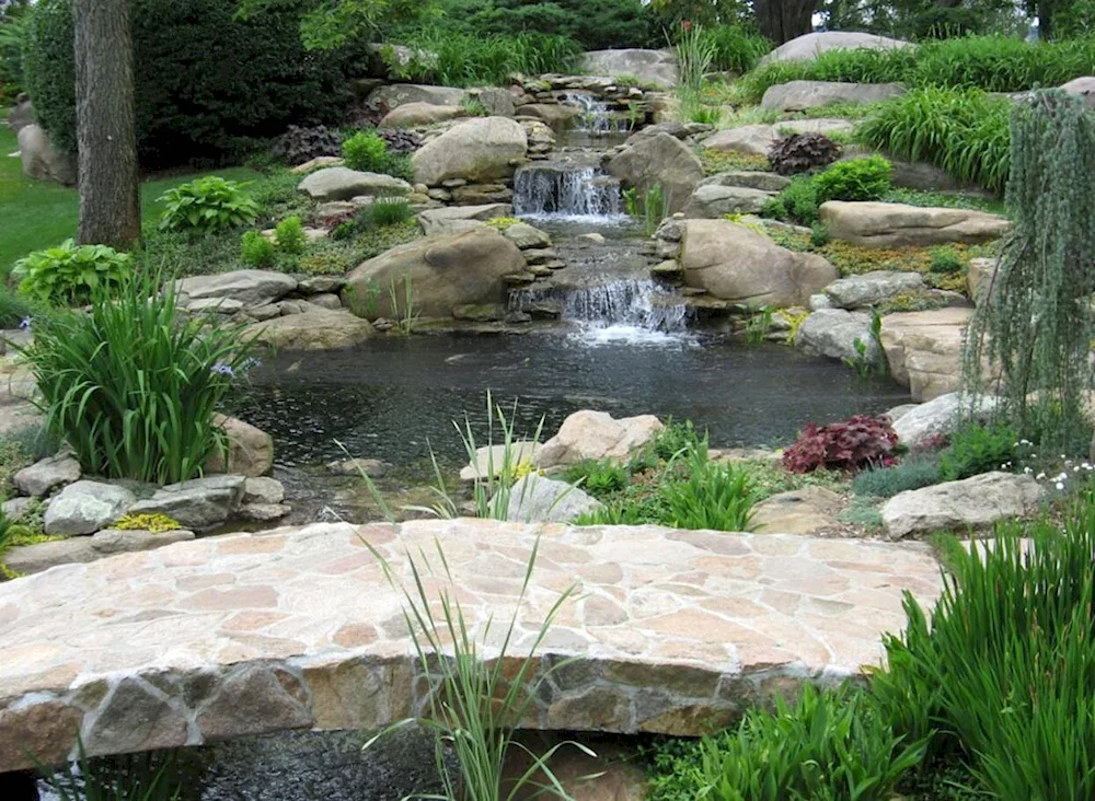 Alpine slide with pond