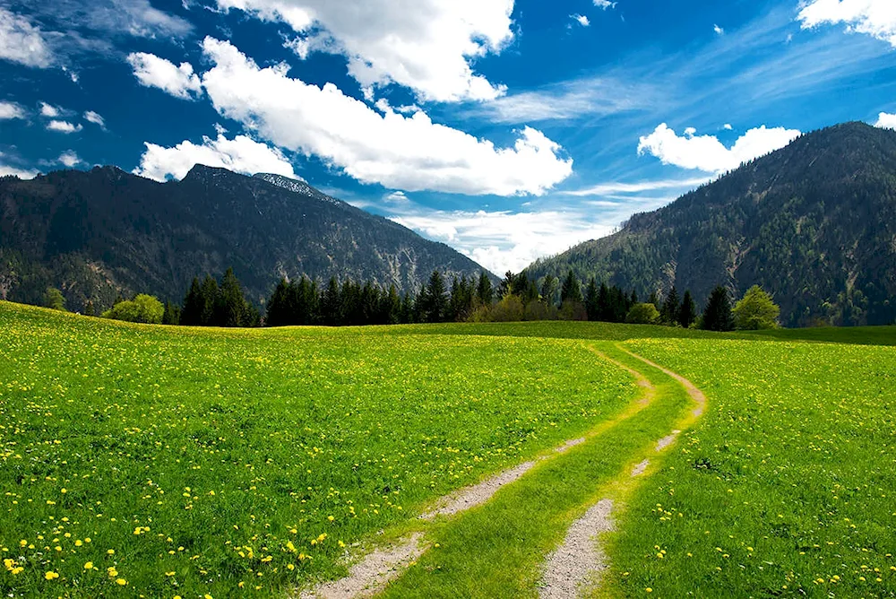 Alpine Meadows of Germany